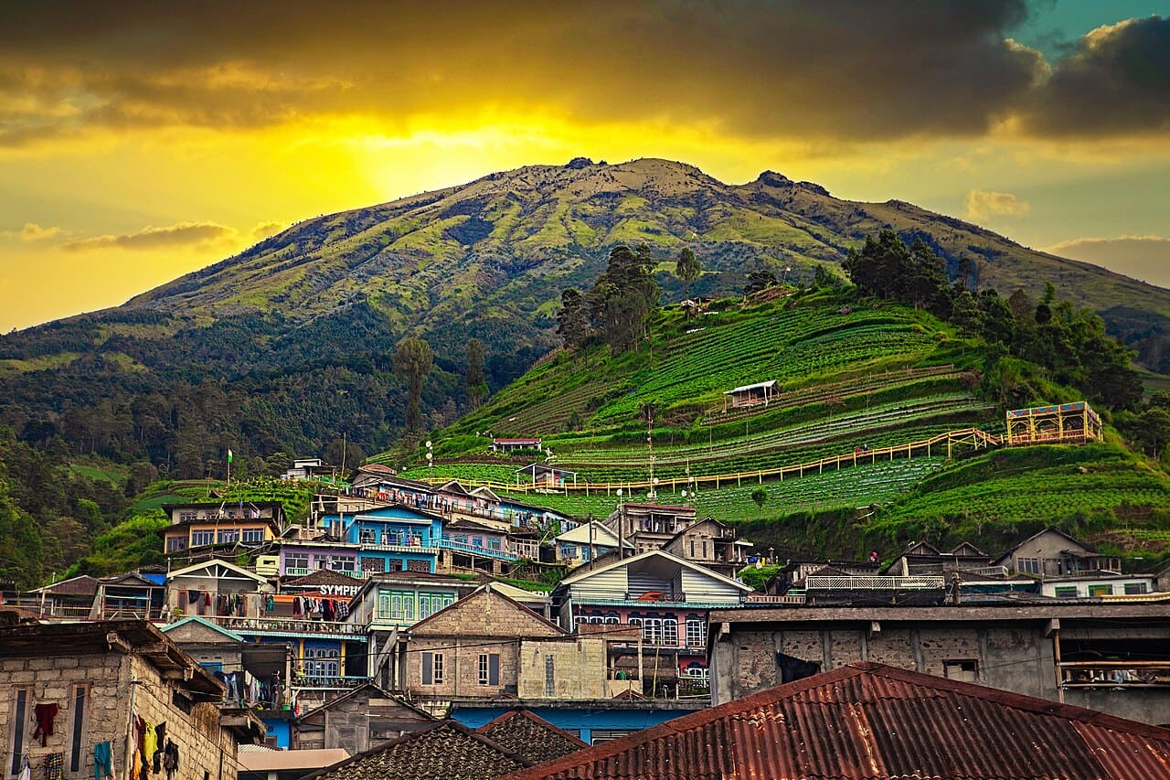 nepal van java