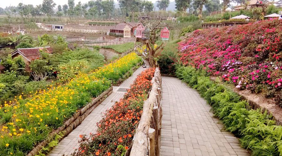 rainbow garden