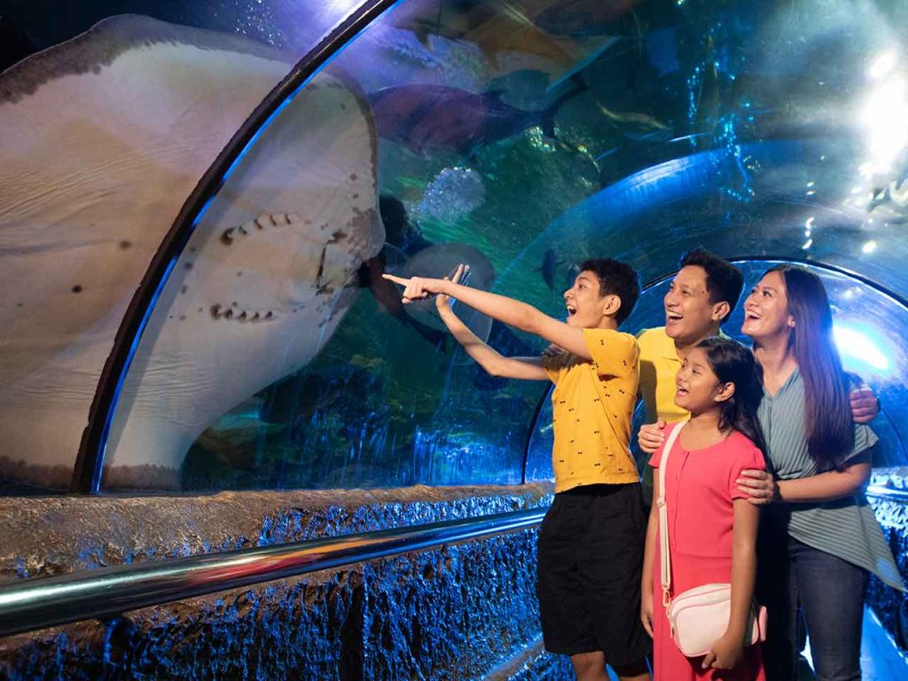 sea world