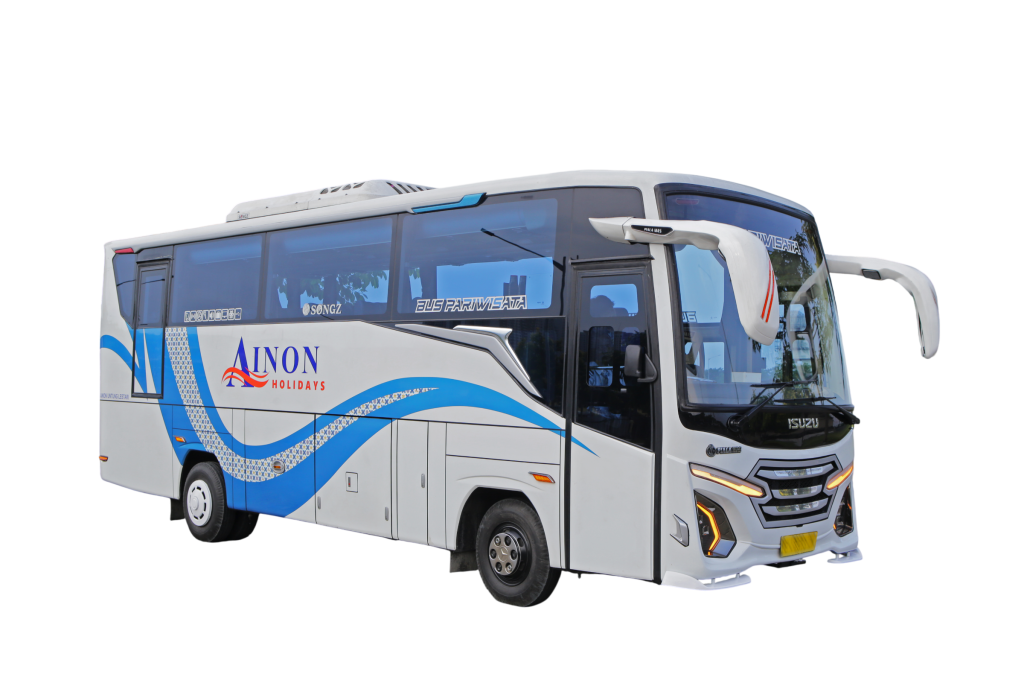 bus med 31